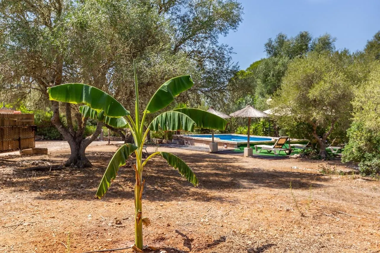 Sa Torreta Campos Villa Campos (Mallorca)